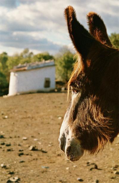 Casas Campo Cimo Da Quinta Otel Miranda do Douro Dış mekan fotoğraf